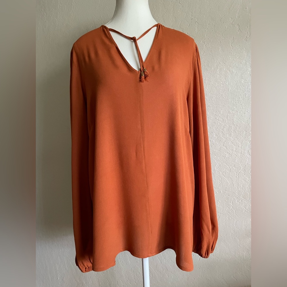 Burnt Orange Long Sleeve V-Neck Tunic